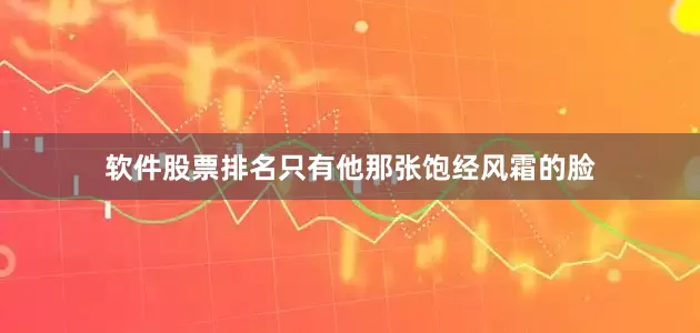 软件股票排名只有他那张饱经风霜的脸