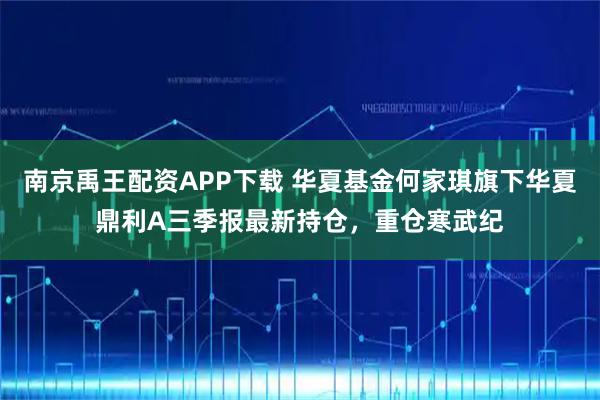 南京禹王配资APP下载 华夏基金何家琪旗下华夏鼎利A三季报最新持仓，重仓寒武纪