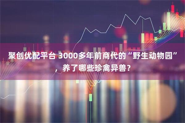 聚创优配平台 3000多年前商代的“野生动物园”，养了哪些珍禽异兽？