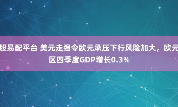 股易配平台 美元走强令欧元承压下行风险加大，欧元区四季度GDP增长0.3%